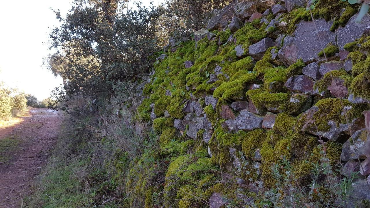 Casa Rural El Arco La Estrella  Екстер'єр фото
