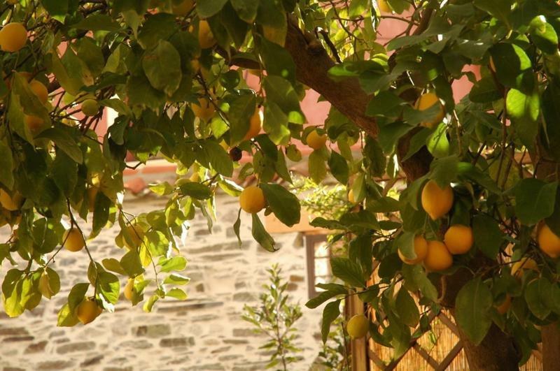 Casa Rural El Arco La Estrella  Екстер'єр фото